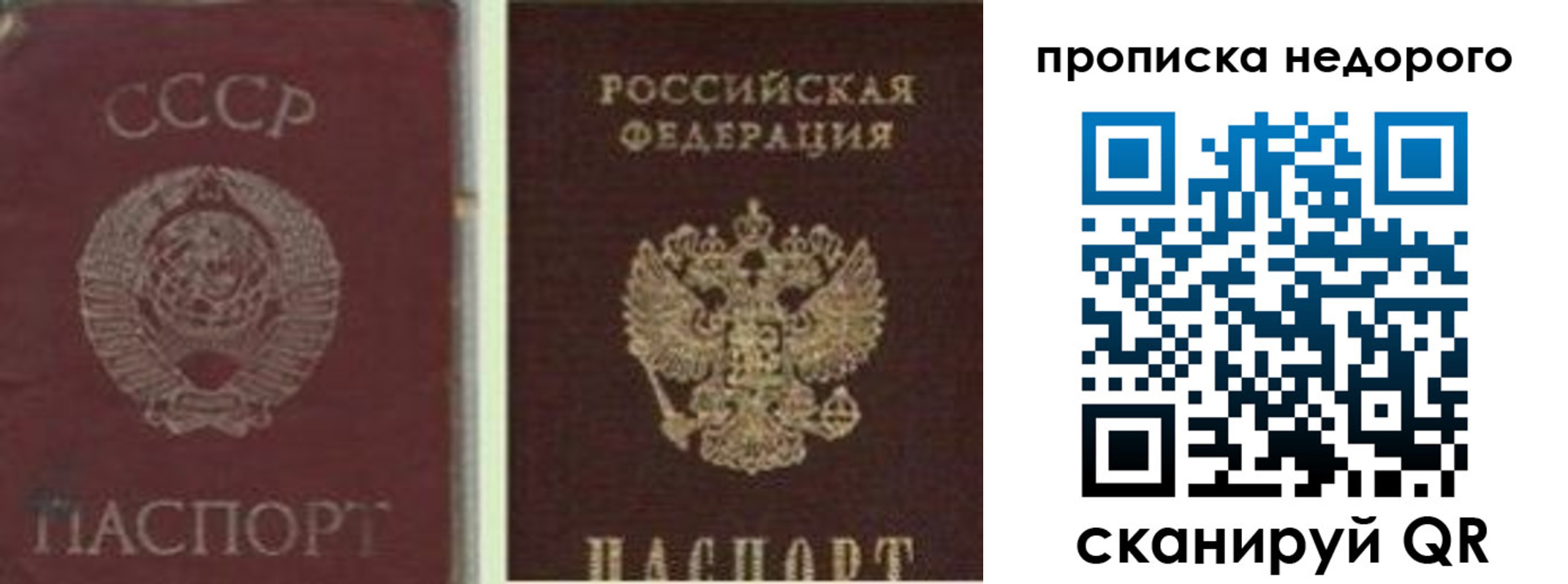 временная регистрация поиск в Читинской области